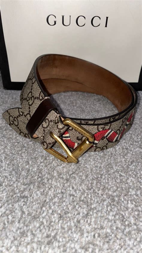 gucci snake buckle in brown|Gucci belt supreme kingsnake brown.